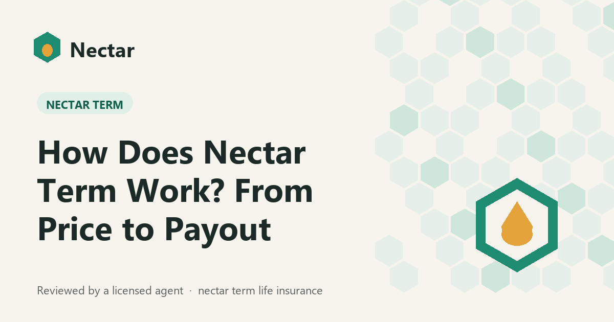 How Does Nectar Term Work? From Price to Payout