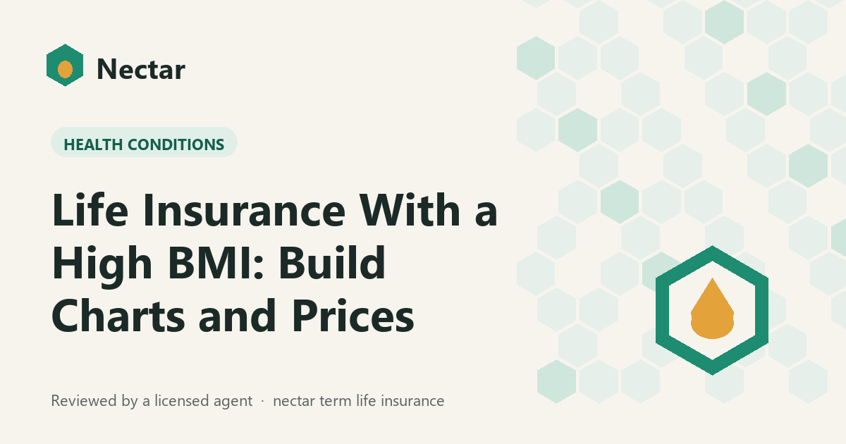Life Insurance With a High BMI: Build Charts and Prices