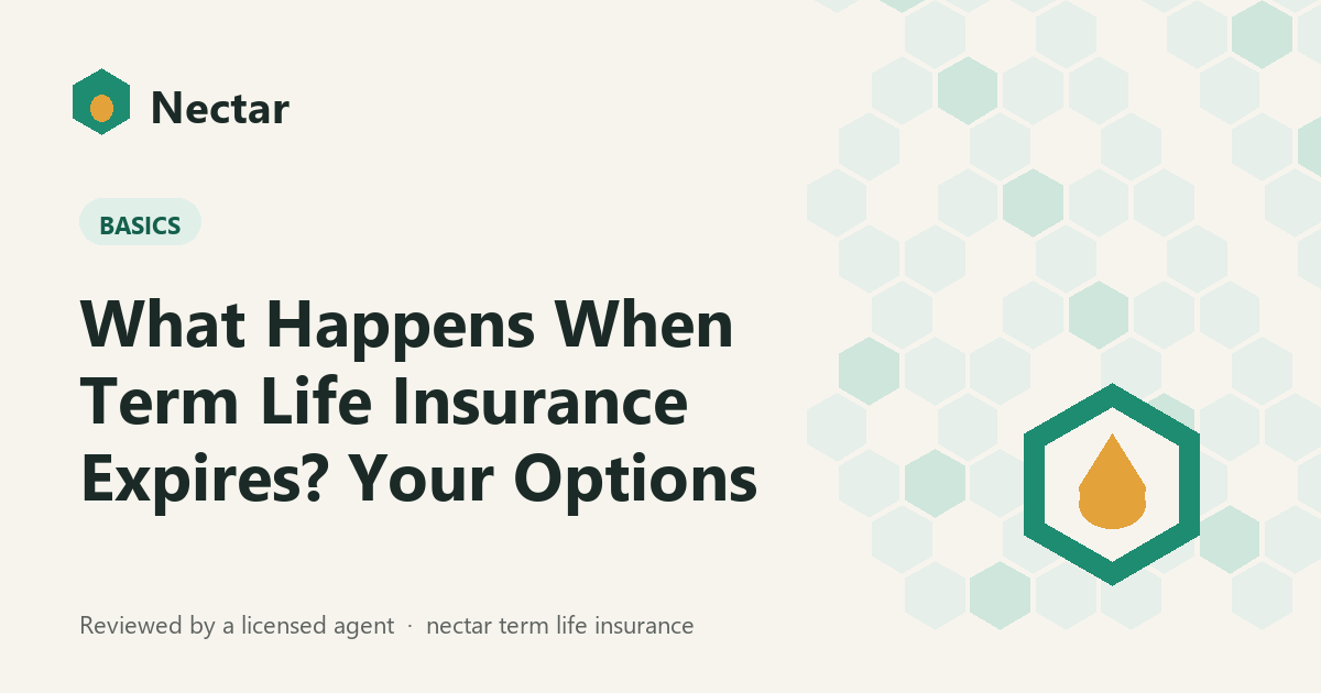 What Happens When Term Life Insurance Expires? Your Options